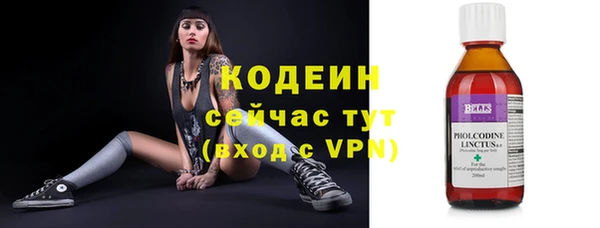дурь Киреевск