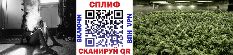 Канабис SATIVA & INDICA  наркошоп  Кедровый 